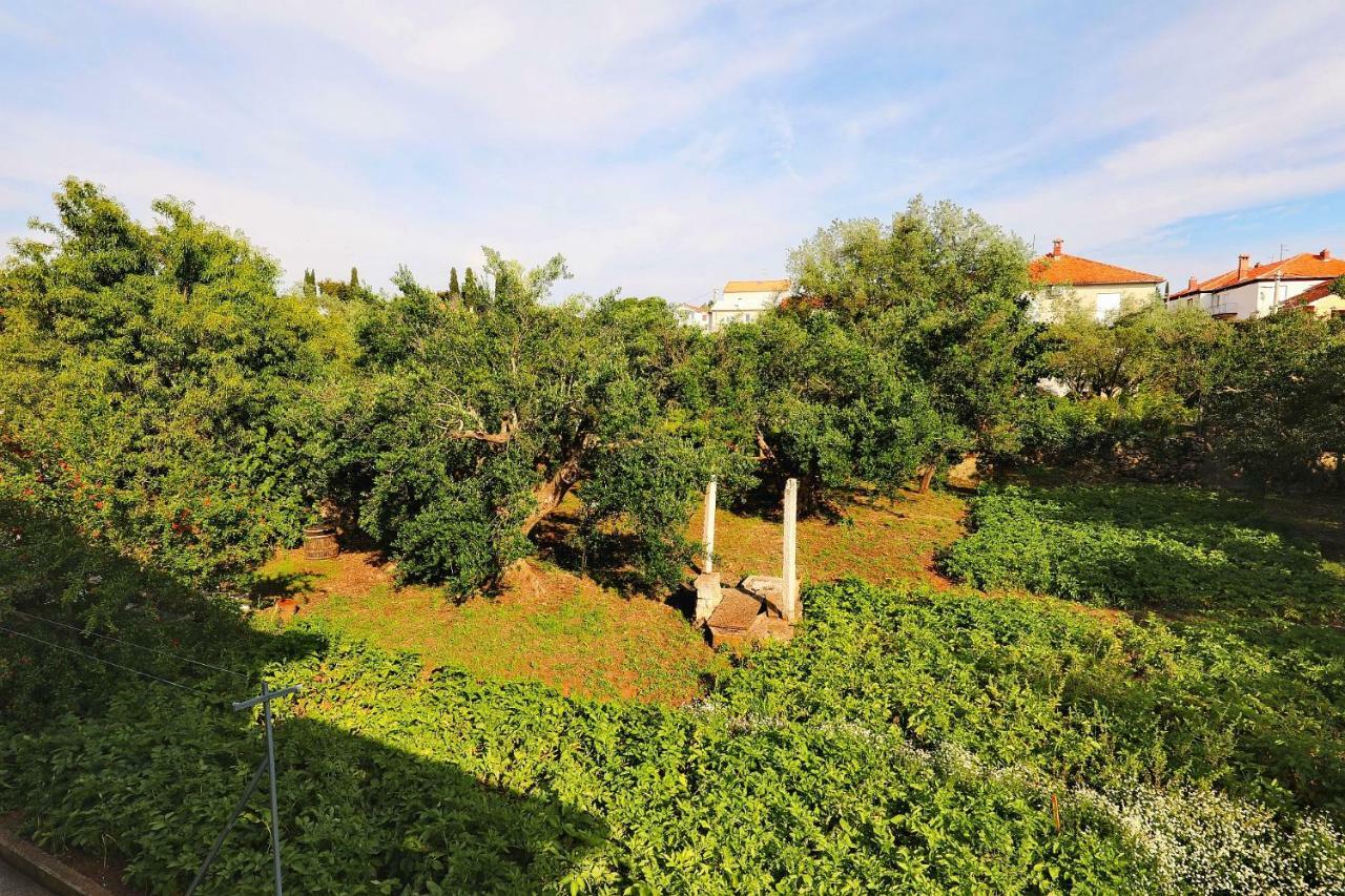 Senkini Dvori Apartma Sutomiscica